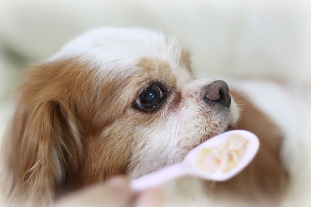 食事(ご飯)の介護