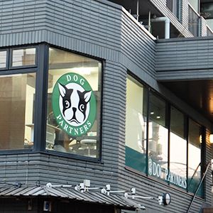 老犬ホームドッグパートナーズの外観