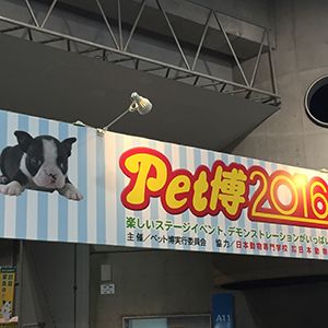 ペット博2016