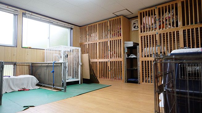 老犬介護ホームさわやか内観