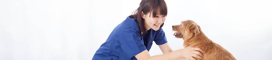 動物病院併設施設