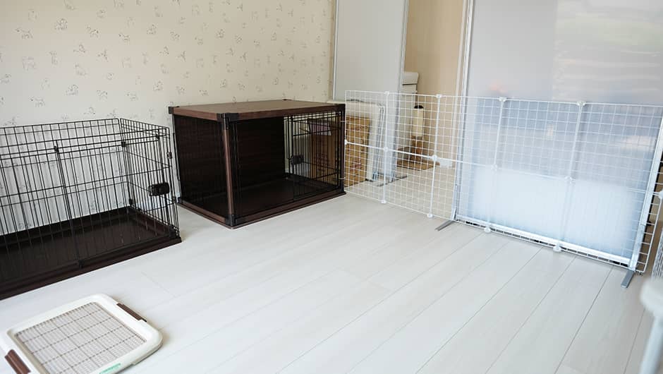 保護猫カフェ＆老犬老猫ホーム Kaipooh_施設内観