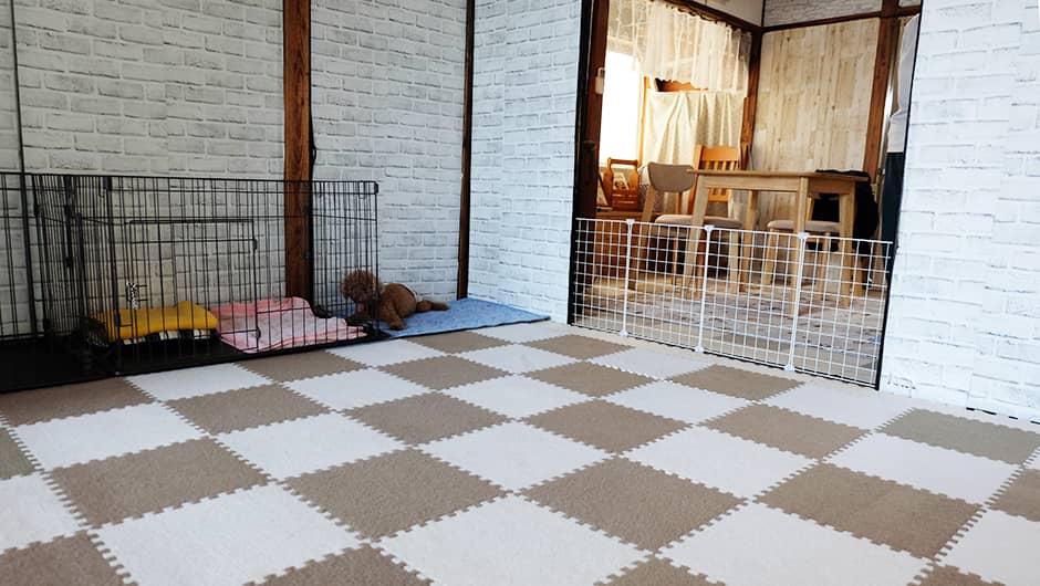 最期まで一緒に！くっきぃホーム_ワンちゃんのお部屋