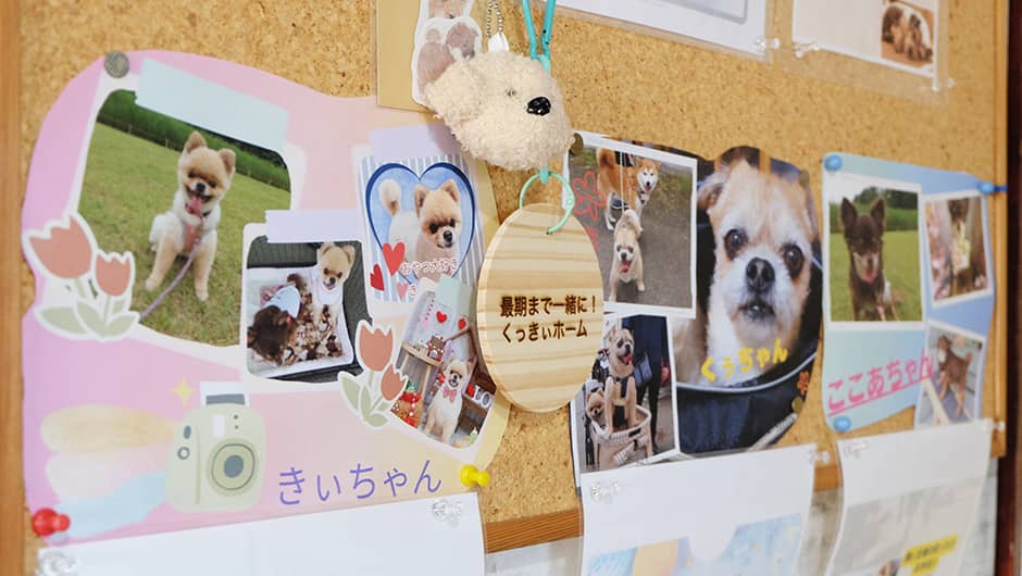最期まで一緒に！くっきぃホーム_お世話になったワンちゃんたち
